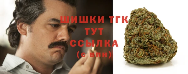 сатива Абаза