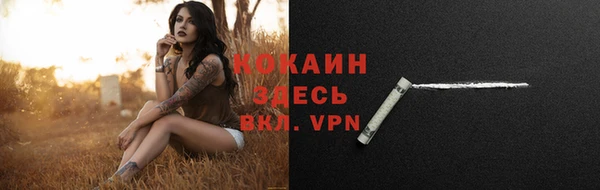гашик Осташков