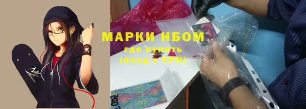 сатива Абаза