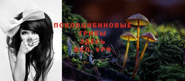 сатива Абаза