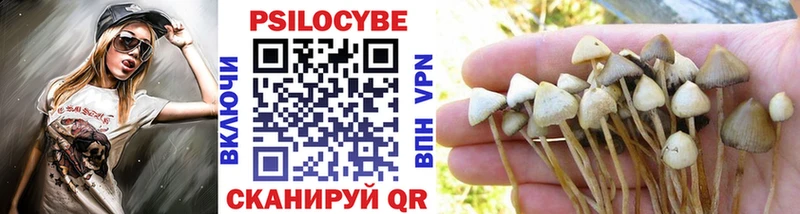 Псилоцибиновые грибы Psilocybe  Зубцов 