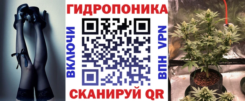 купить наркоту  Зубцов  Марихуана индика 